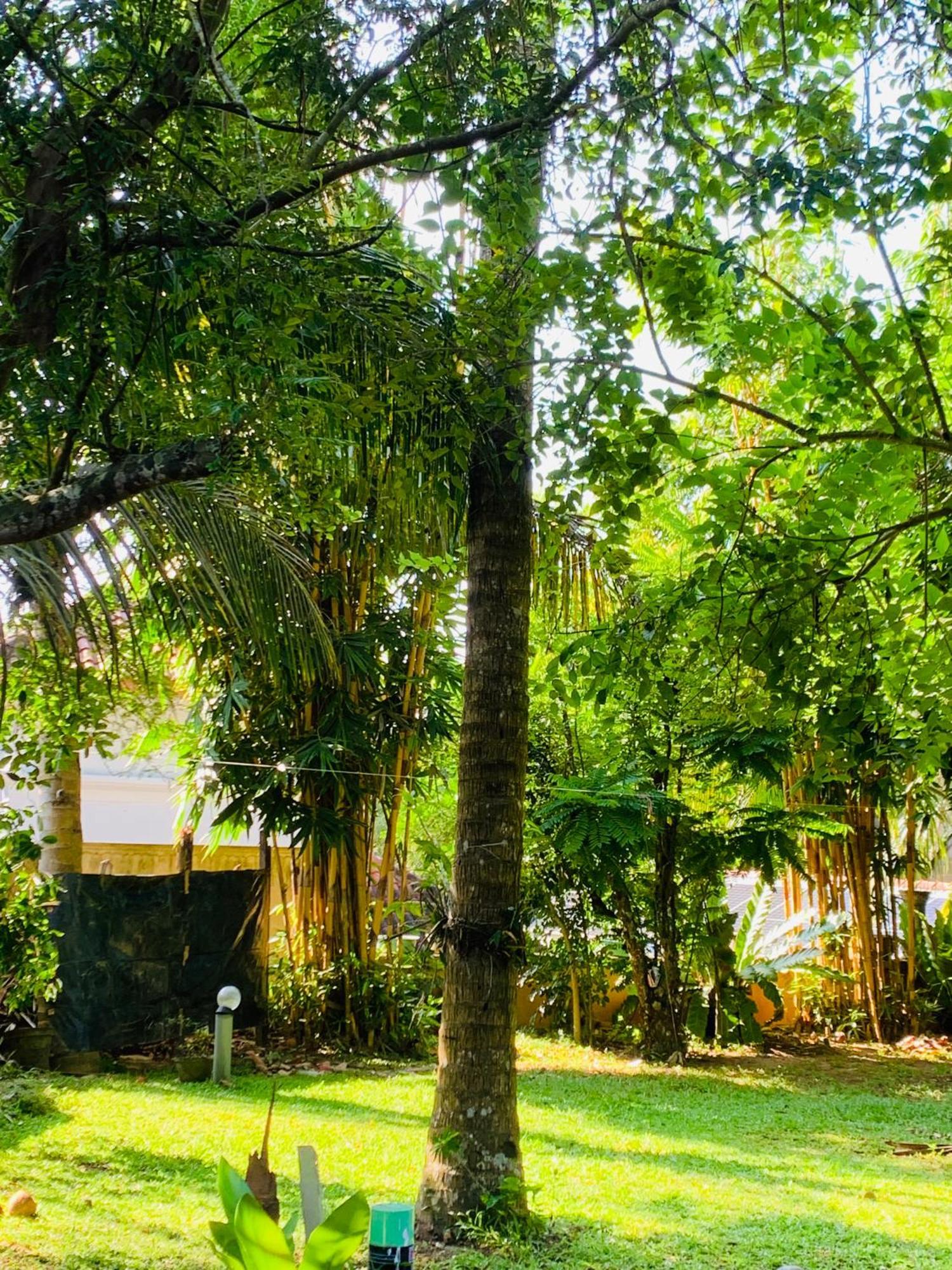 Cinnamon House Hiriketiya Dikwella Sur Exterior foto