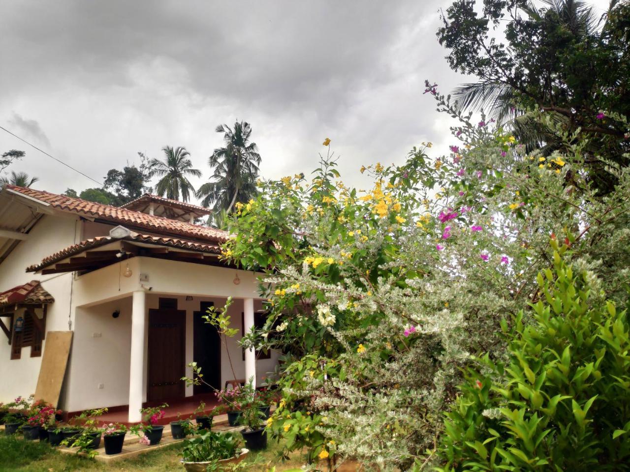 Cinnamon House Hiriketiya Dikwella Sur Exterior foto