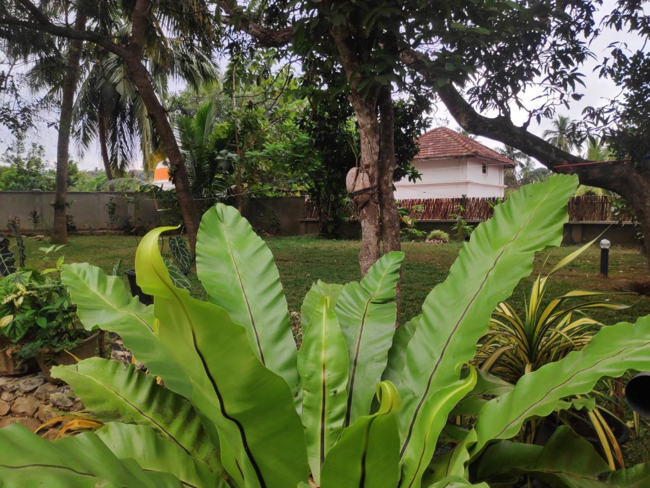Cinnamon House Hiriketiya Dikwella Sur Exterior foto